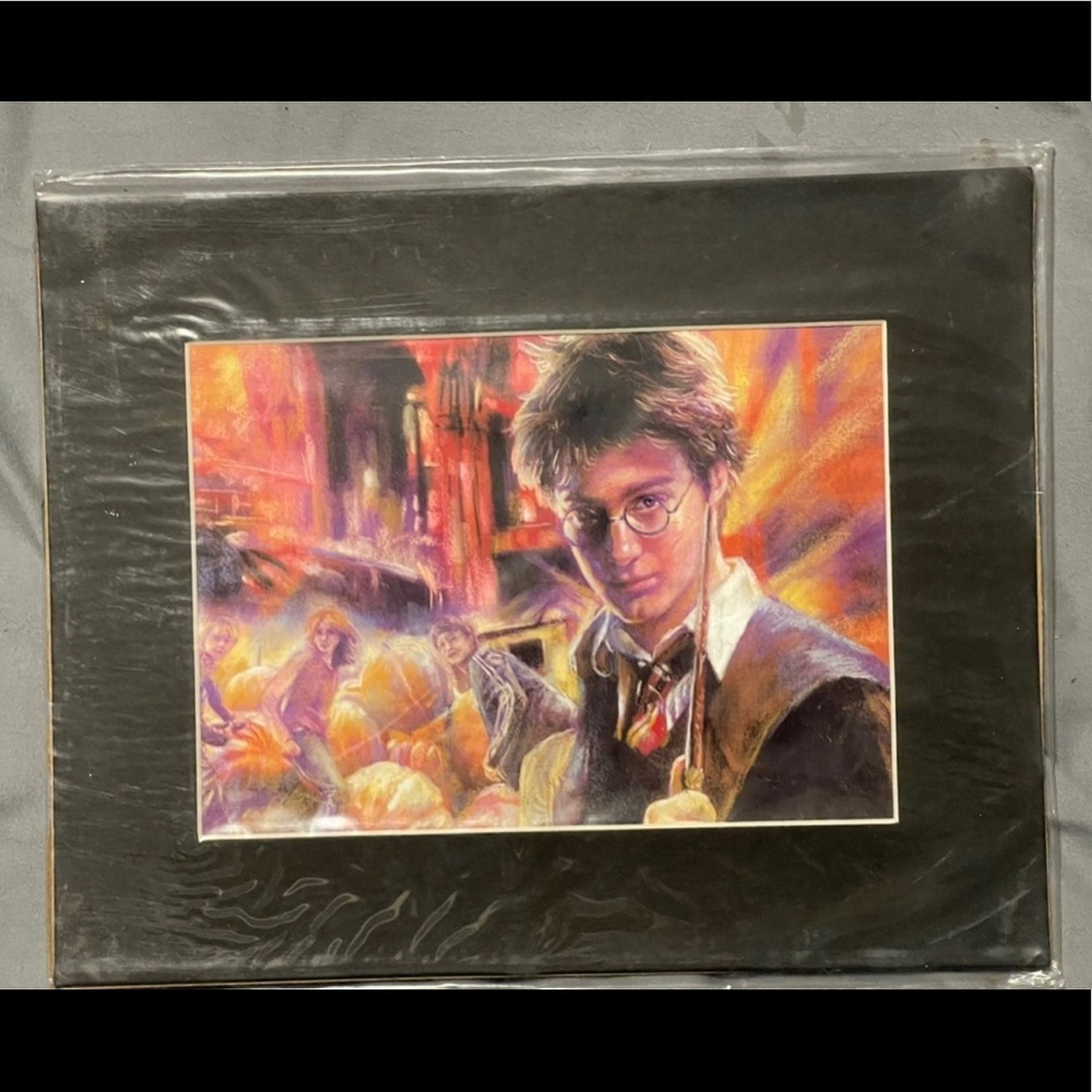 Harry Potter 8X10 Print